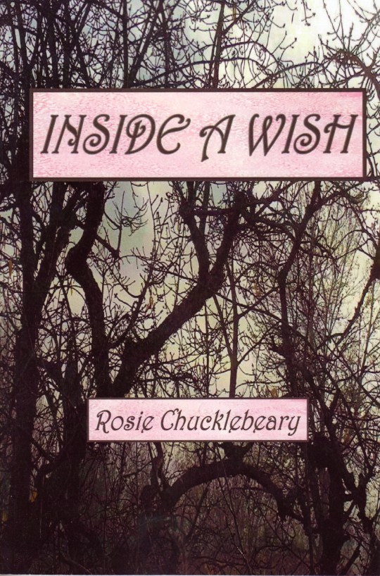 Actual front cover of Inside a Wish