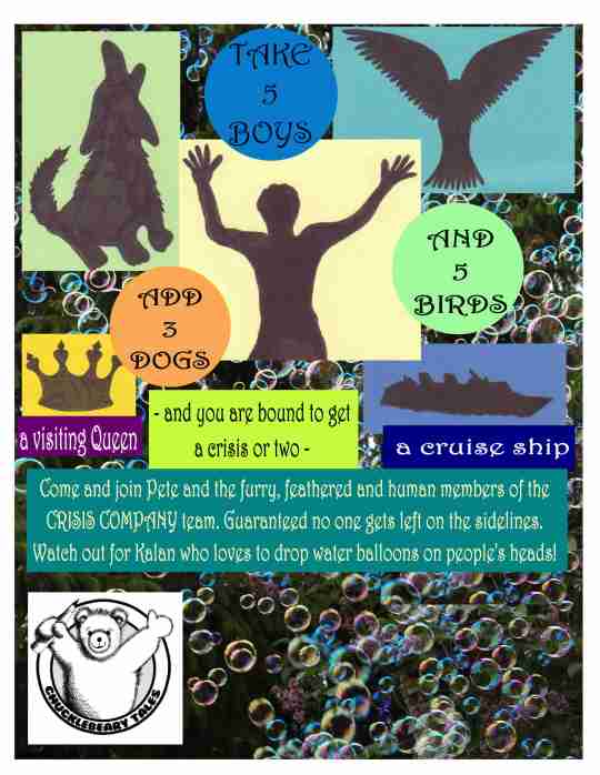 CRISIS COMPANY back cover 300 dpi